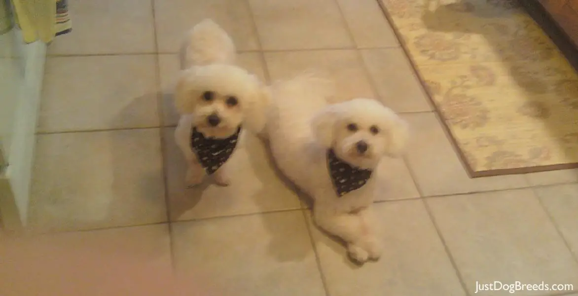 Clover & Riely Clover & Riely