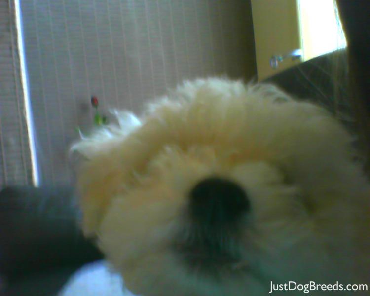 bailey bailey