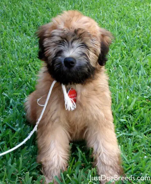 Winnie Winnie