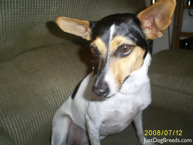 Zoey Zoey